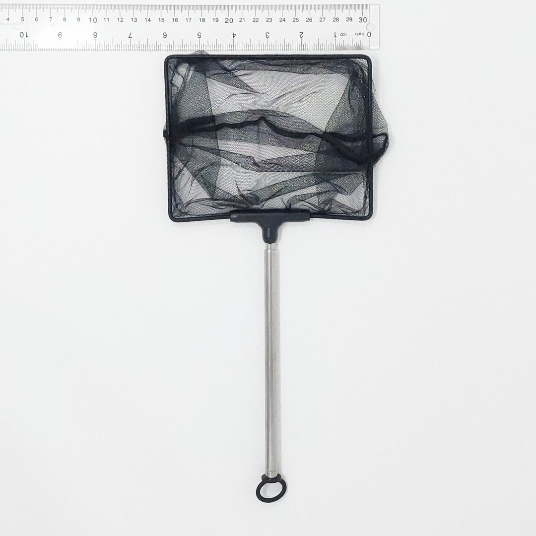 Long Handle 6" Shrimp Net